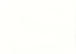 12 x 12 Smooth White 350gsm - 20 Pack
