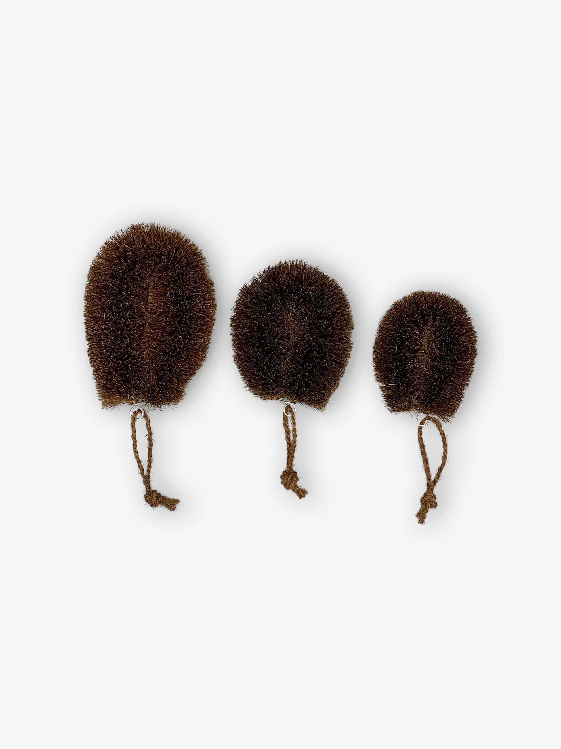 Medium Oval Scrub Brush