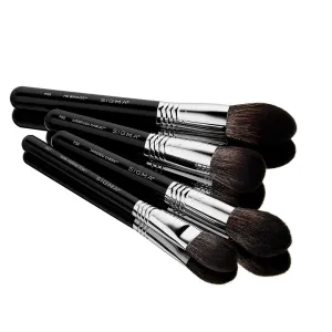 Studio Brush Set