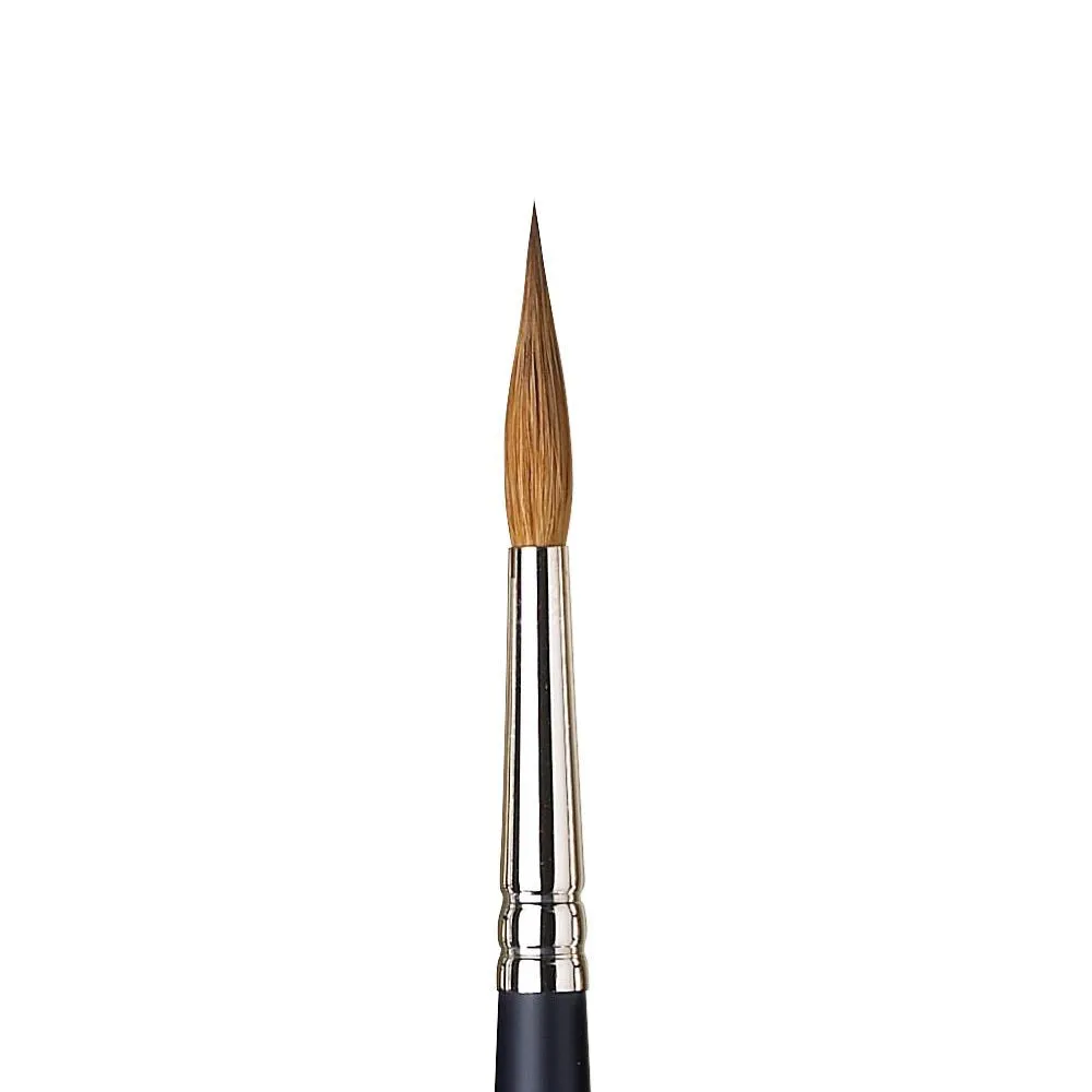 Winsor & Newton Professional Watercolour Sable Brushes - Pointed Round