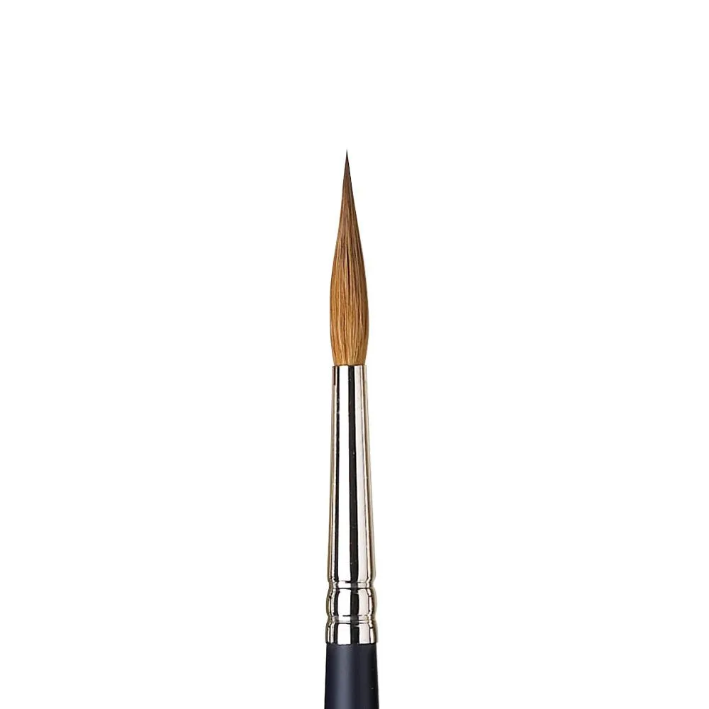Winsor & Newton Professional Watercolour Sable Brushes - Pointed Round
